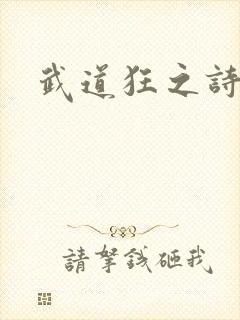 武道狂之诗