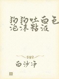 狗狗吐白色黄色泡沫粘液