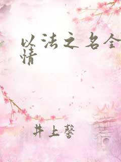 以法之名全部剧情