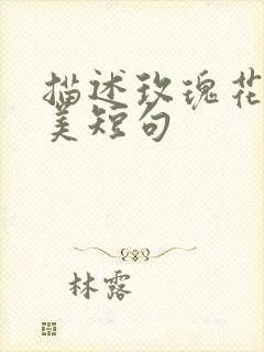 描述玫瑰花的优美短句