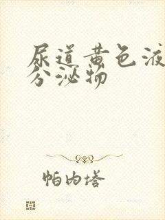 尿道黄色液体性分泌物