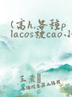 (高h,各种placos被cao小说