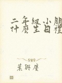 二年级小朋友送什么生日礼物好