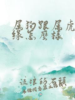 属狗跟属虎的姻缘怎么样