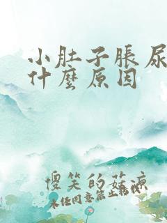 小肚子胀尿多是什么原因