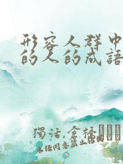 形容人群中最美的人的成语