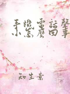 手机电话声音太小怎么回事啊