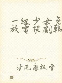 一级少女免费播放电视剧韩剧