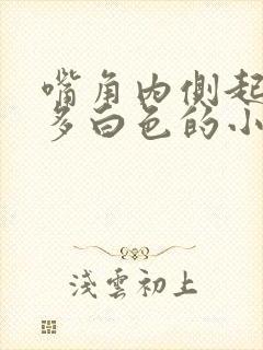 嘴角内侧起了很多白色的小点点