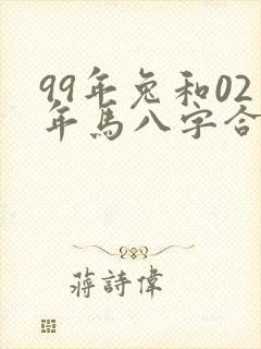 99年兔和02年马八字合吗
