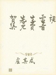 贺先生电视剧全集免费看