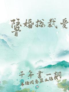 隐婚总裁爱你入骨