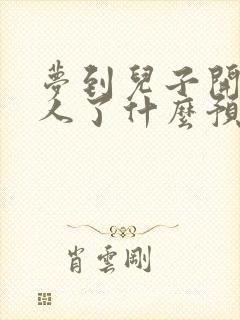 梦到儿子开车撞人了什么预兆