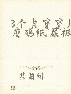 3个月宝宝用什么码纸尿裤