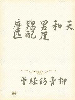 摩羯男和天蝎女匹配度