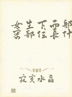 女生下面那个私密部位长什么样