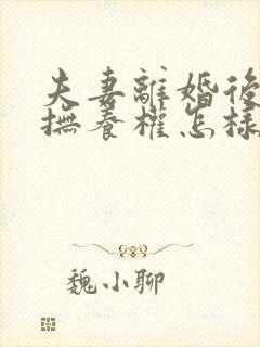 夫妻离婚后孩子抚养权怎样判