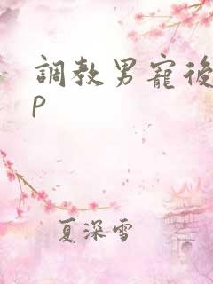 调教男宠后穴np