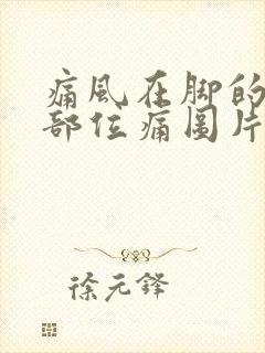 痛风在脚的什么部位痛图片男性