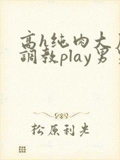 高h纯肉大尺度调教play男男