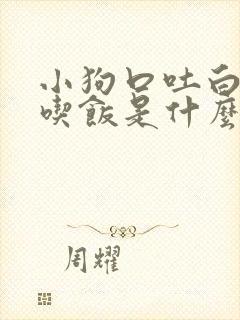 小狗口吐白沫不吃饭是什么原因