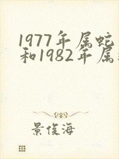1977年属蛇和1982年属狗合财吗