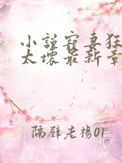 小说宠妻狂魔别太坏最新章节