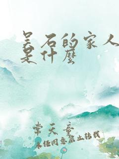 吴石的家人结局是什么