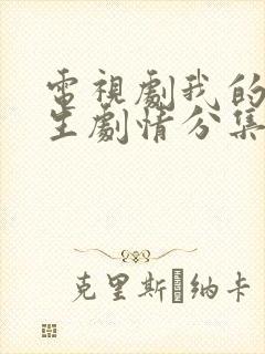 电视剧我的后半生剧情分集介绍