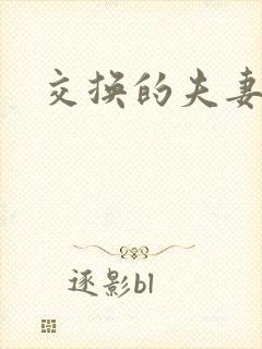 交换的夫妻小说