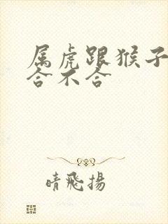 属虎跟猴子属相合不合