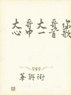 大哥大哥你是我心中一首歌是什么歌