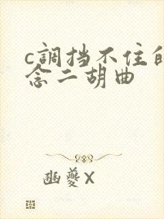 c调挡不住的思念二胡曲