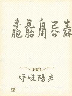 梦见自己生了双胞胎周公解梦