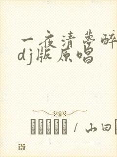 一夜清梦醉红颜dj版原唱
