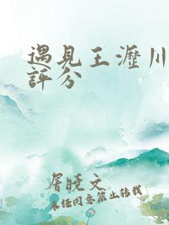 遇见王沥川豆瓣评分