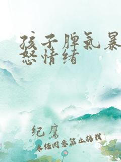 孩子脾气暴躁易怒情绪