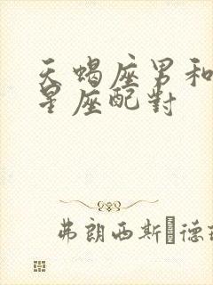 天蝎座男和什么星座配对