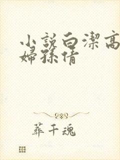 小说白洁高义少妇孙倩