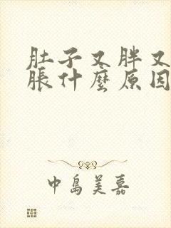 肚子又胖又经常胀什么原因