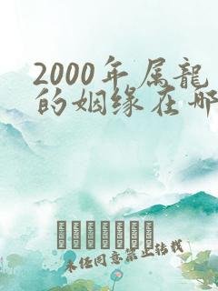 2000年属龙的姻缘在哪年