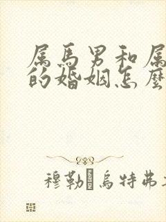 属马男和属龙女的婚姻怎么样