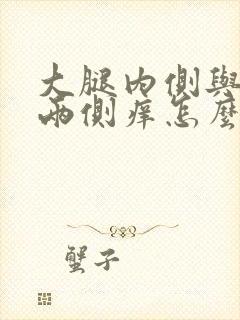 大腿内侧与阴囊两侧痒怎么回事