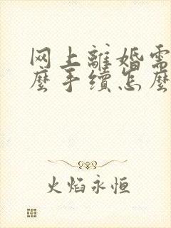 网上离婚需要什么手续怎么办理