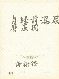 月经前漏尿是什么原因