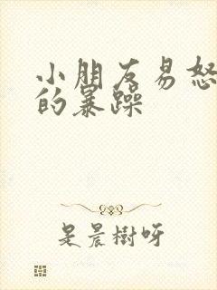 小朋友易怒脾气的暴躁