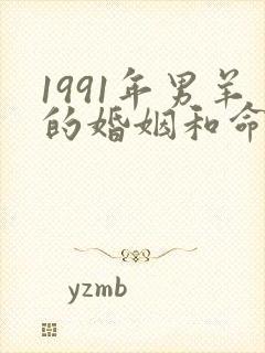 1991年男羊的婚姻和命运怎样