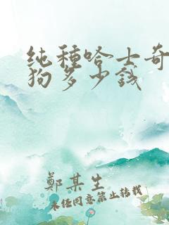 纯种哈士奇犬小狗多少钱