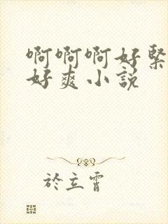 啊啊啊好紧好大好爽小说