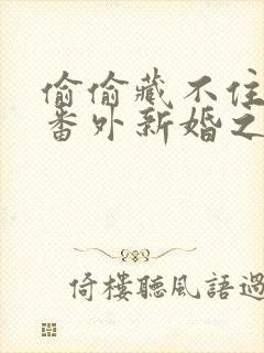 偷偷藏不住小说番外新婚之夜